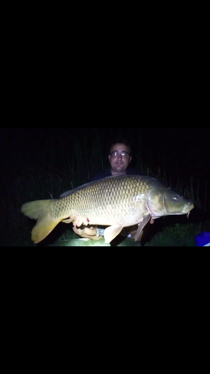 ISOLA DEL PESCATORE 12 - 13 iunie 2017 - screenshot2017-06-13-02-43-09.png